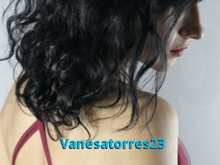 Vanesatorres23