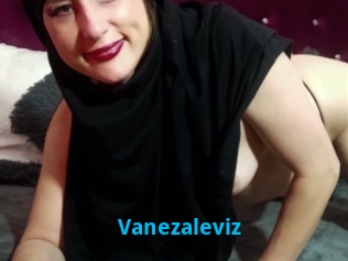 Vanezaleviz