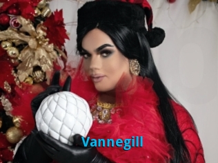 Vannegill