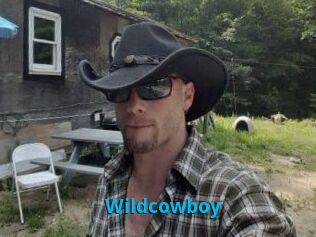 Wildcowboy