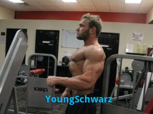 YoungSchwarz