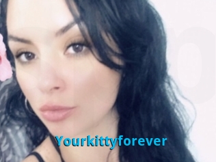 Yourkittyforever