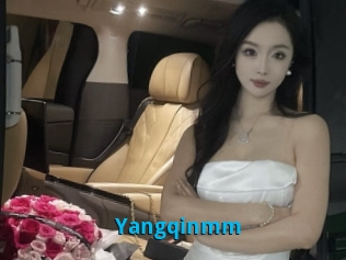 Yangqinmm