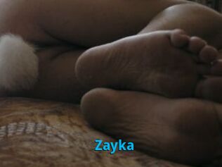 Zayka