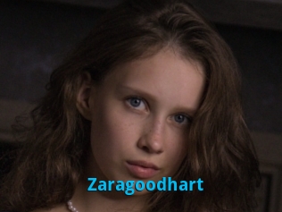 Zaragoodhart